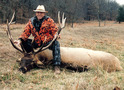 Photos of Elk Hunts at High Adventure Ranch, Elk Hunting Photos